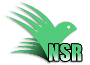 NSR General Contracting And Supplies Inc